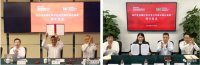 中國寶武，究竟儲備了多少鐵礦？